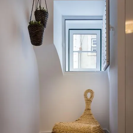 アルファマ ライト ポイント