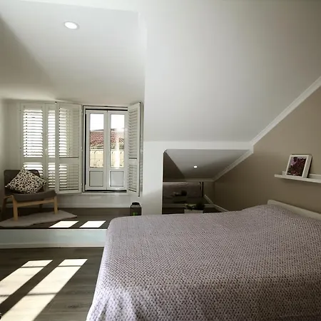 アルファマ ライト ポイント